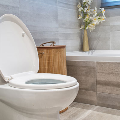 best toilet selection for home remodel and bathroom construction